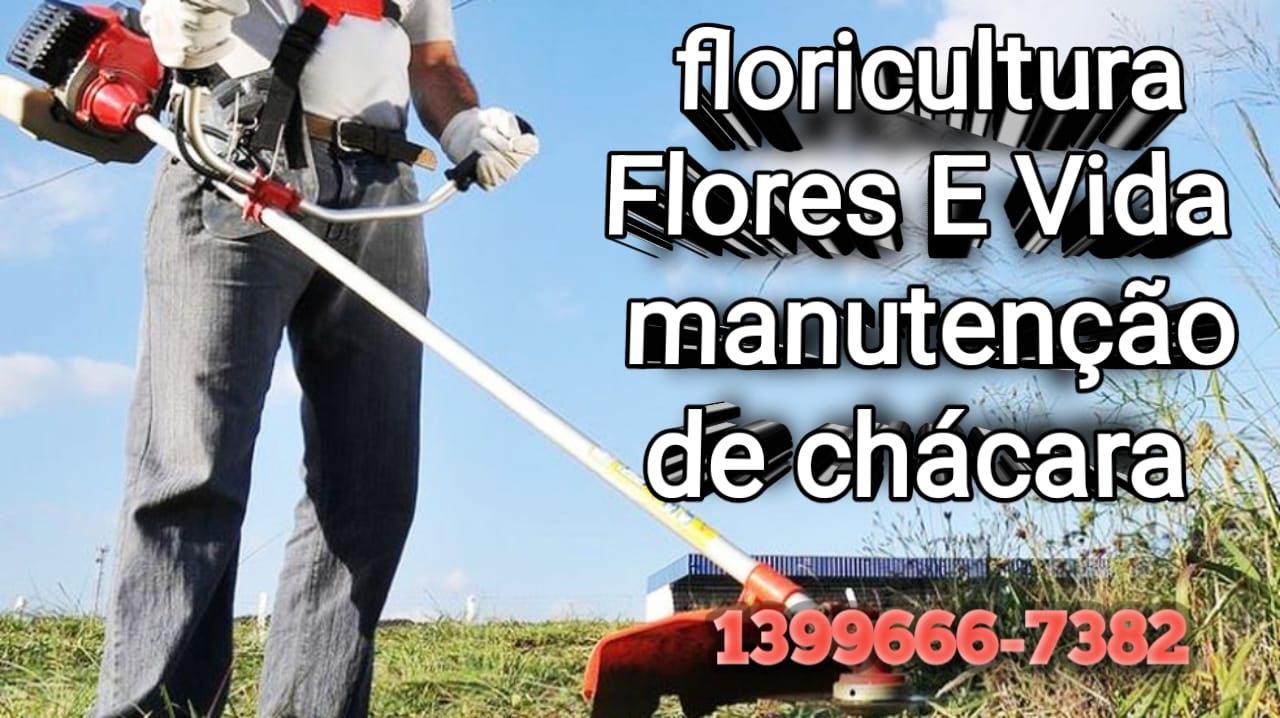 floricultura flores  e vida